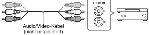 Audio/Video-Kabel (nicht mitgeliefert) AUDIO IN L R