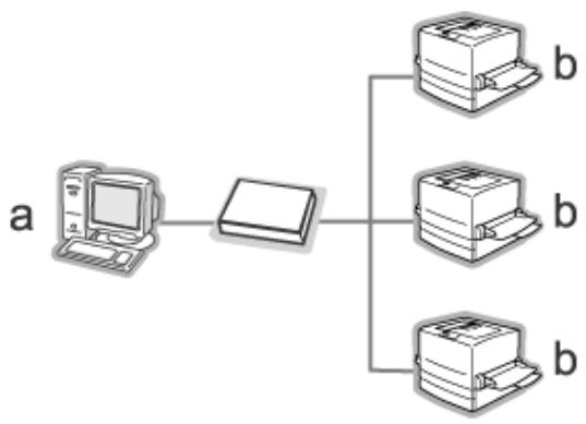 EPSON C824352 - Epsonnet webmanager et le navigateur web sont exécutés sur le même ordinateur - 1