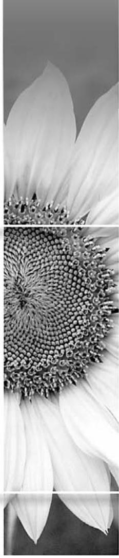 EPSON EMP-1707 - Guide de l'utilisateur - 4