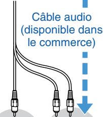 EPSON EMP-S3 - Utilisation de la télécommande - 14