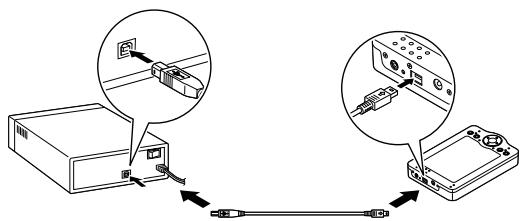 EPSON P-1000 - Remarque : - 1