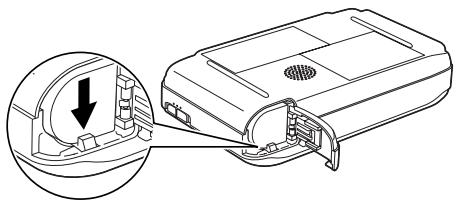 EPSON P-2000 - Important : - 1