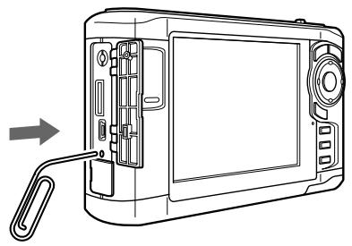 EPSON P-5000 - Réinitialisation de la visionneuse - 1