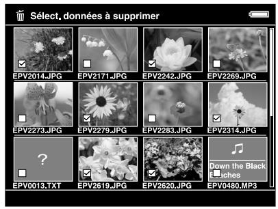 EPSON P-5000 - Suppression de fichiers ou de dossiers - 1