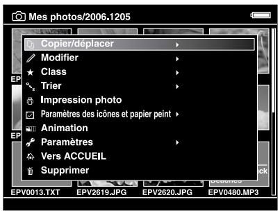 EPSON P-5000 - Copie de données spécifiques - 1
