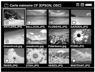 EPSON P-5000 - Copie de données spécifiques - 1