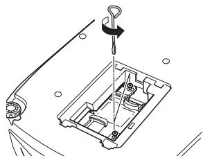 EPSON EMP-TW10 - Replacing the lamp - 4