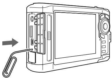 EPSON P-6000 - Réinitialisation de la visionneuse - 1