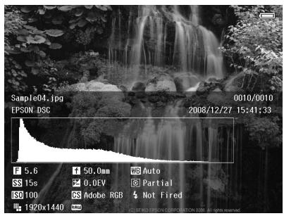 EPSON P-6000 - Photo - 3