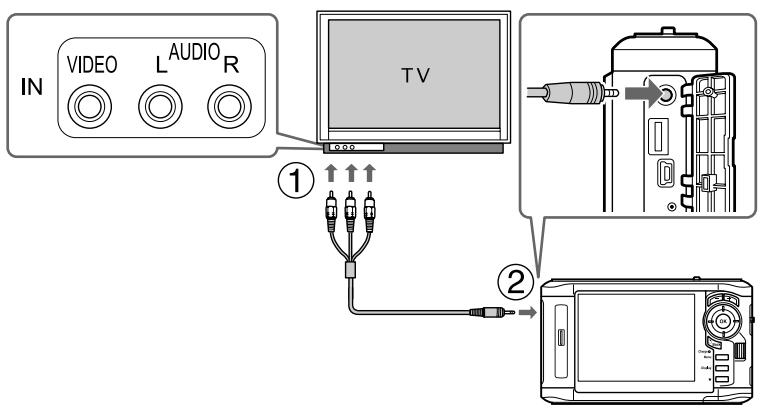 EPSON P-6000 - Remarque : - 1
