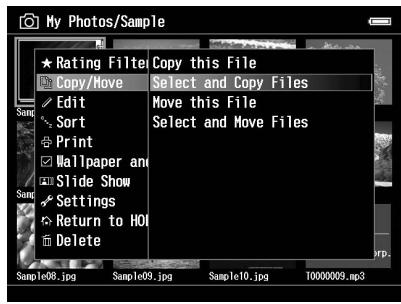 EPSON P-6000 - Remarque : - 1