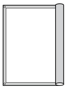 EPSON ELPSC21 - Articoli inclusi - 1