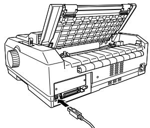 EPSON FX-890 - Conexión de la impresa - 2