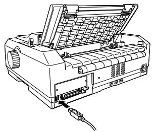 EPSON FX-890 - Connexion de l'imprimante - 2
