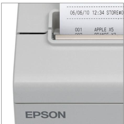 EPSON TM-T88V - Transparency through remote maintenance - 1