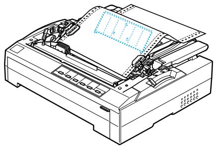 EPSON FX-880 - Fente d'introduction inférieure - 3