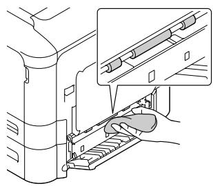 EPSON WORKFORCE AL-C300N - Rouleau de transfert du papier sur le bac à papier en option - 2