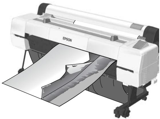 EPSON SURECOLOR SC-P10000 - Impression de bannières (sur papier rouleau) - 1