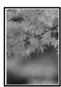 EPSON SURECOLOR SC-P10000 - Agrandissement/ réduction de l'impression - 4
