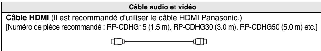 PANASONIC SA-XR57 - Câble de raccordement (Tous les câbles sont vendus séparément) - 1