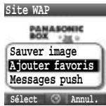 PANASONIC X400 - Options du navigateur (Messages push) - 1