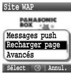 PANASONIC X400 - Options du navigateur (Recharger page) - 1