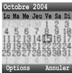 PANASONIC X401 - Affichage du calendrier - 2