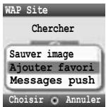PANASONIC X401 - Options de navigateur (Messages push) - 2
