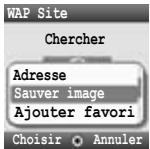 PANASONIC X401 - Options de navigateur (Messages push) - 1