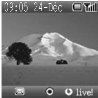PANASONIC X401 - Affichage de Vodafone live! - 2