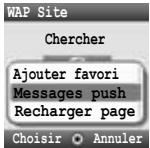 PANASONIC X401 - Options de navigateur (Messages push) - 3