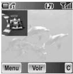 PANASONIC X500 - Mes animations - 1