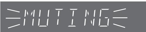 PANASONIC SC-HT335 - Premere [MUTING]. - 1