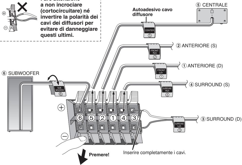 a non incrociare (cortocircuitare) né invertire la polarità dei cavi dei diffusori per evitare di danneggiare questi ultimi. Subwoofer SUB WOOFER ⑥ ⑤ CENTRALE Autoadesivo cavo diffusore ② ANTERIORE (S) ① ANTERIORE (D) ④ SURROUND (S) ③ SURROUND (D) ④ SURROUND (S) ③ SURROUND (Lch) ③ ④ ⑤ ⑥ ⑦ ⑧ ⑨ ⑩ ⑪ ⑫ ⑬ ⑭ ⑮ ⑯ ⑰ ⑱ ⑲ ⑳ ⑴ ⑵ ⑶ Premere! Inserire completamente i cavi.