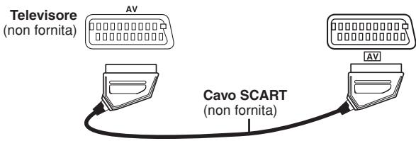 Televisore (non fornita) AV Cavo SCART (non fornita)