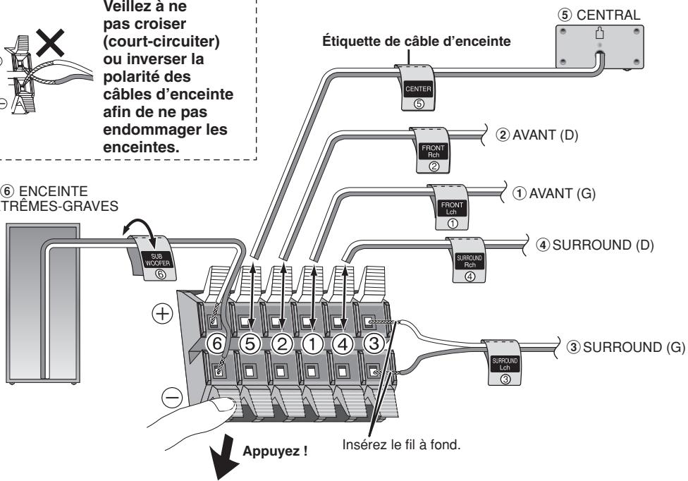 Veiliez à ne pas croiser (court-circuiter) ou inverser la polarité des câbles d'enceinte afin de ne pas endommager les enceintes. Étiquette de câble d'enceinte ⑤ CENTRAL ⑥ ENCEINTE TRÊMES-GRAVES SUB WOOFER ⑤ ② AVANT (D) FRONT Rch ① AVANT (G) FRONT Lch ④ SURROUND (D) SURROUND Rch ④ ③ SURROUND (G) ③ Appuyez ! Insérez le fil à fond.