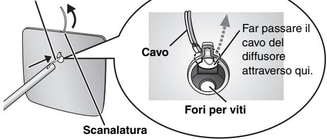 Scanalatura Cavo Far passare il cavo del diffusore attraverso qui. Fori per viti