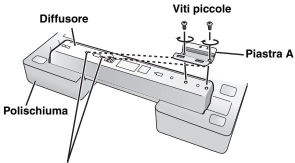 Diffusore Viti piccole Piastra A Polischiuma