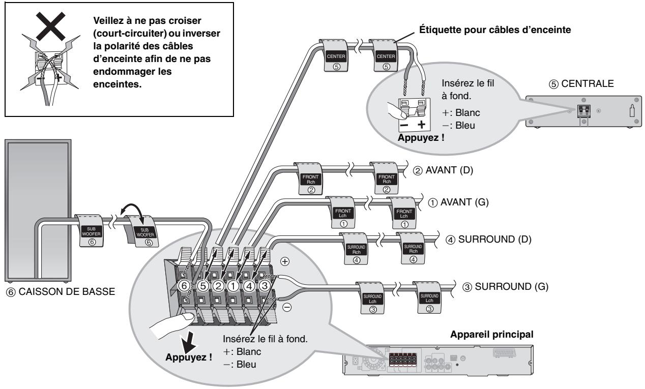 PANASONIC SC-HT540 - Feuilles d'étiquettes pour cables d'enceinte - 4