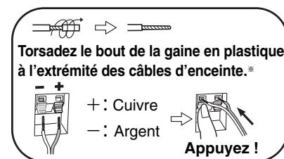 PANASONIC SC-HT845 - Raccordez les câbles d'enceinte. - 1