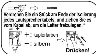 PANASONIC SC-HT845 - Schlieben Sie die Lautsprecherkabel an. - 1