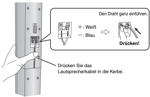 PANASONIC SC-HT855 - SchlieBen Sie das Lautsprecherkabel an. - 1