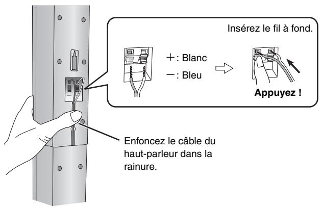 PANASONIC SC-HT855 - Raccordez le cable du haut-parleur. - 1