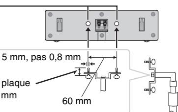 PANASONIC SC-HT855 - Orifices des vis métalliques - 1