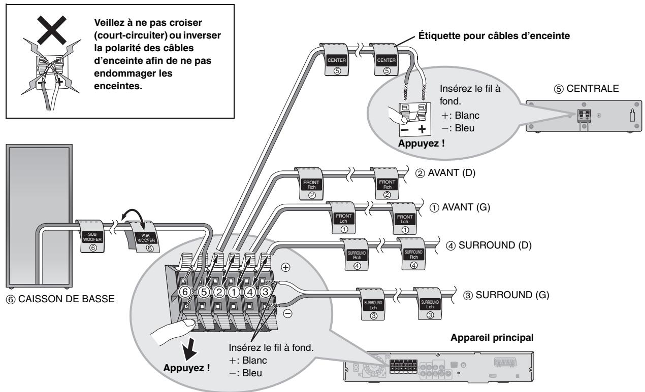 PANASONIC SC-HT855 - Feuilles d'étiquettes pour cables d'enceinte - 2