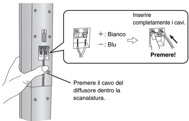 PANASONIC SC-HT855 - Collegare il cavo del diffusore. - 1