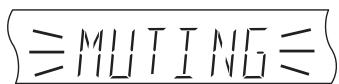 PANASONIC SC-HT855 - Premere [MUTING]. - 1