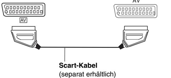 Scart-Kabel (separat erhältlich)