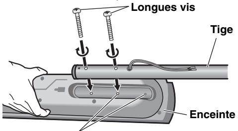 Longues vis Tige Enceinte