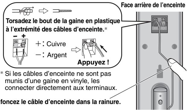 Face arrière de l'enceinte Torsadez le bout de la gaine en plastique à l'extrémité des câbles d'enceinte.* + : Cuivre - : Argent Appuyez ! * Si les câbles d'enceinte ne sont pas munis d'une gaine en vinyle, les connecter directement aux terminaux. foncez le câble d'enceinte dans la rainure.